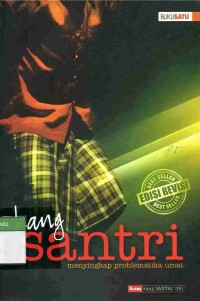 Kang Santri: Menyingkap Problematika Umat (Buku Satu)